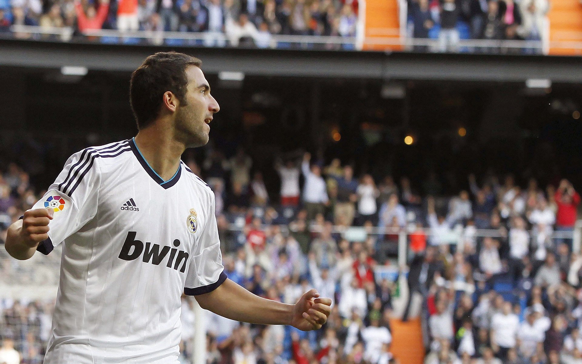 足球志愿者招募计划启动面向全国开放，招募足球志愿者的条件